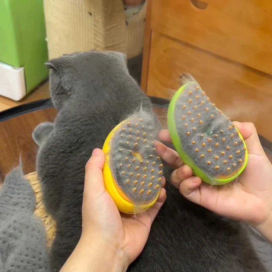 3-In-1 Steam Pet Grooming Brush for Dogs & Cats