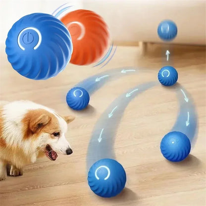 Automatic Interactive Moving Ball Toy for Dogs & Cats – USB Rechargeable Pet Toy