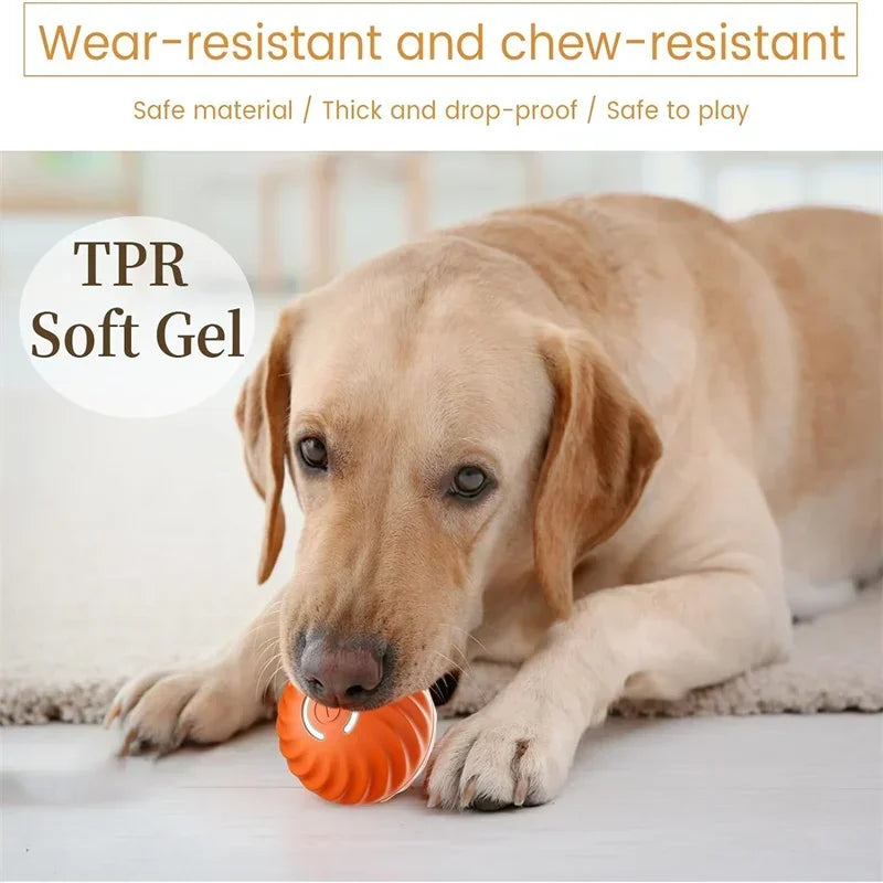 Automatic Interactive Moving Ball Toy for Dogs & Cats – USB Rechargeable Pet Toy